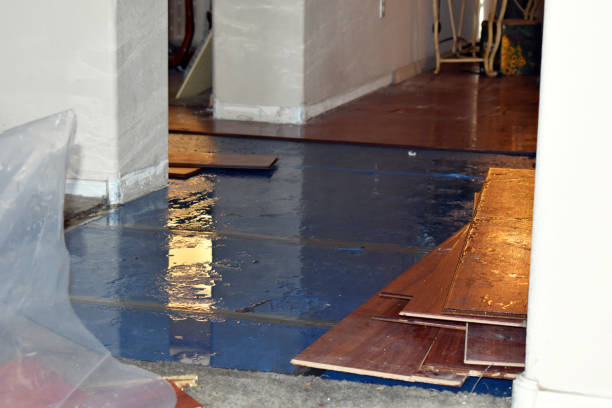 Professional Sewage Cleanup technician working in Bergheim, TX